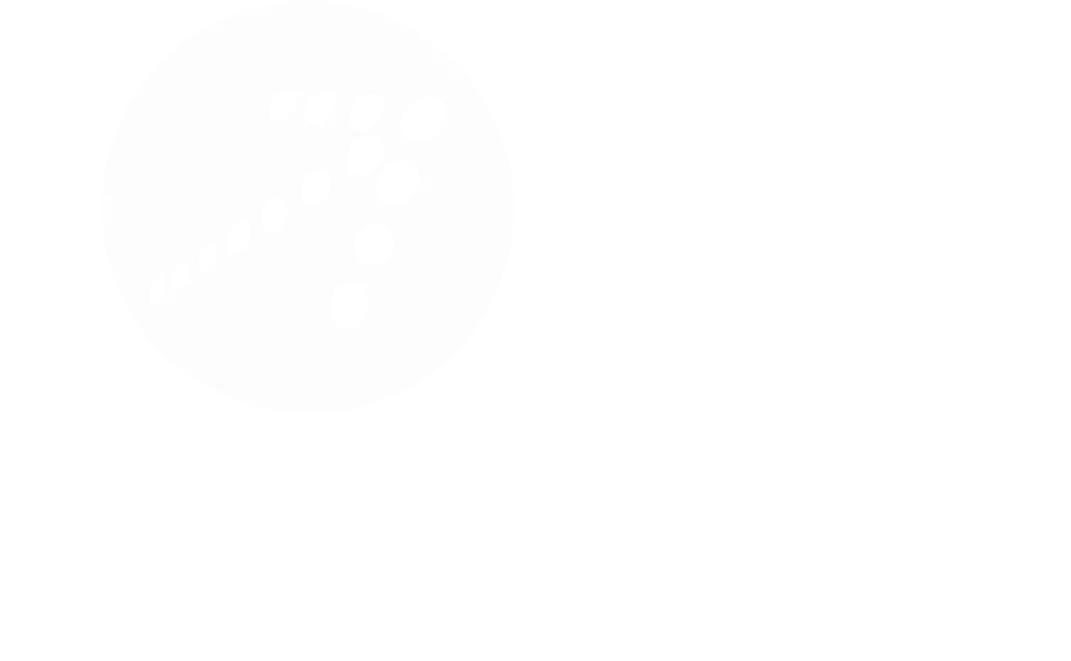Enaction Group